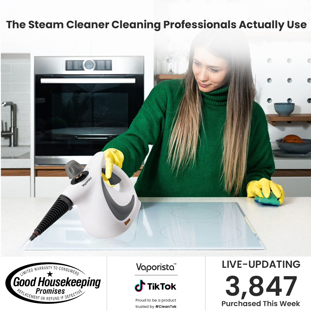 SteamBurst Steam Cleaner